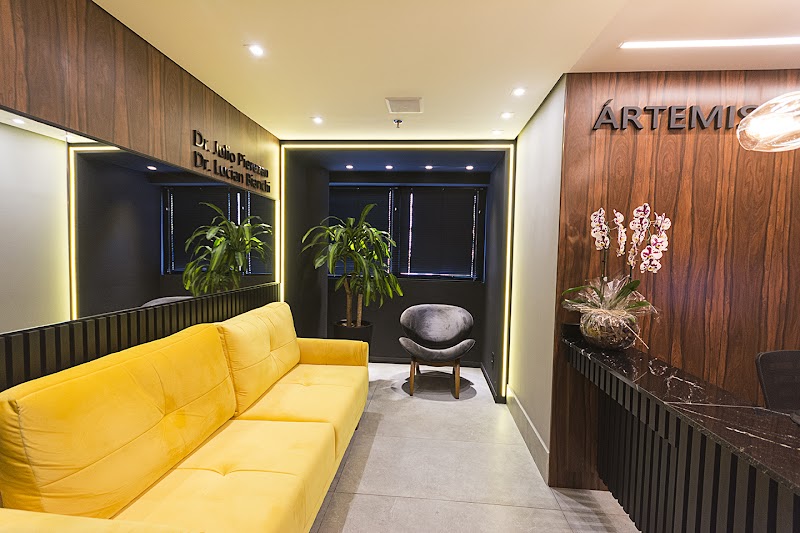 Ártemis Centro de Transplante Capilar logo