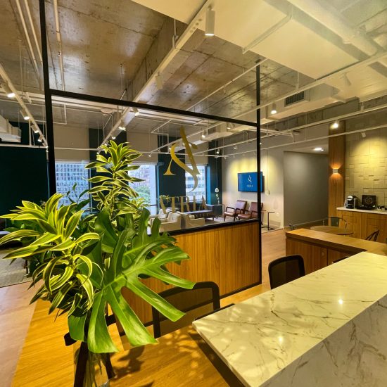 Dr. Felipe Blanco logo