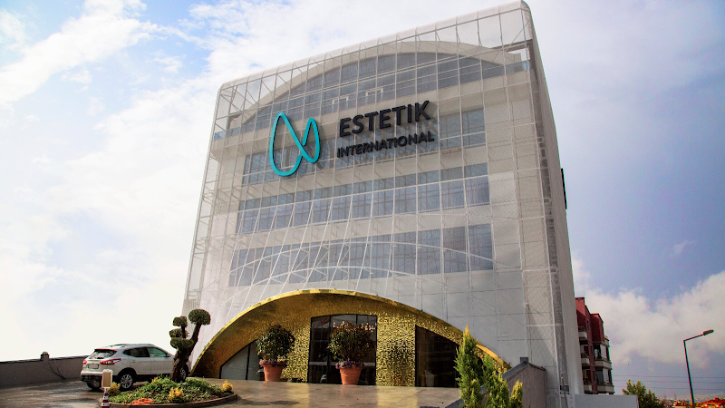 Estetik International logo