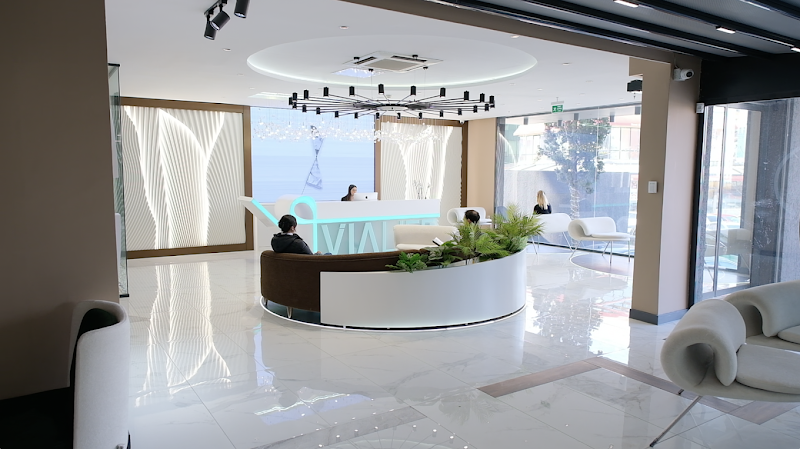 The Best Hair Clinic | Istanbul logo