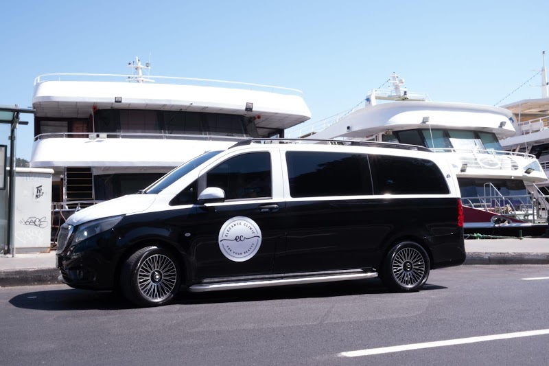 Travel Esthetica - przeszczep włosów Turcja, zęby Turcja logo